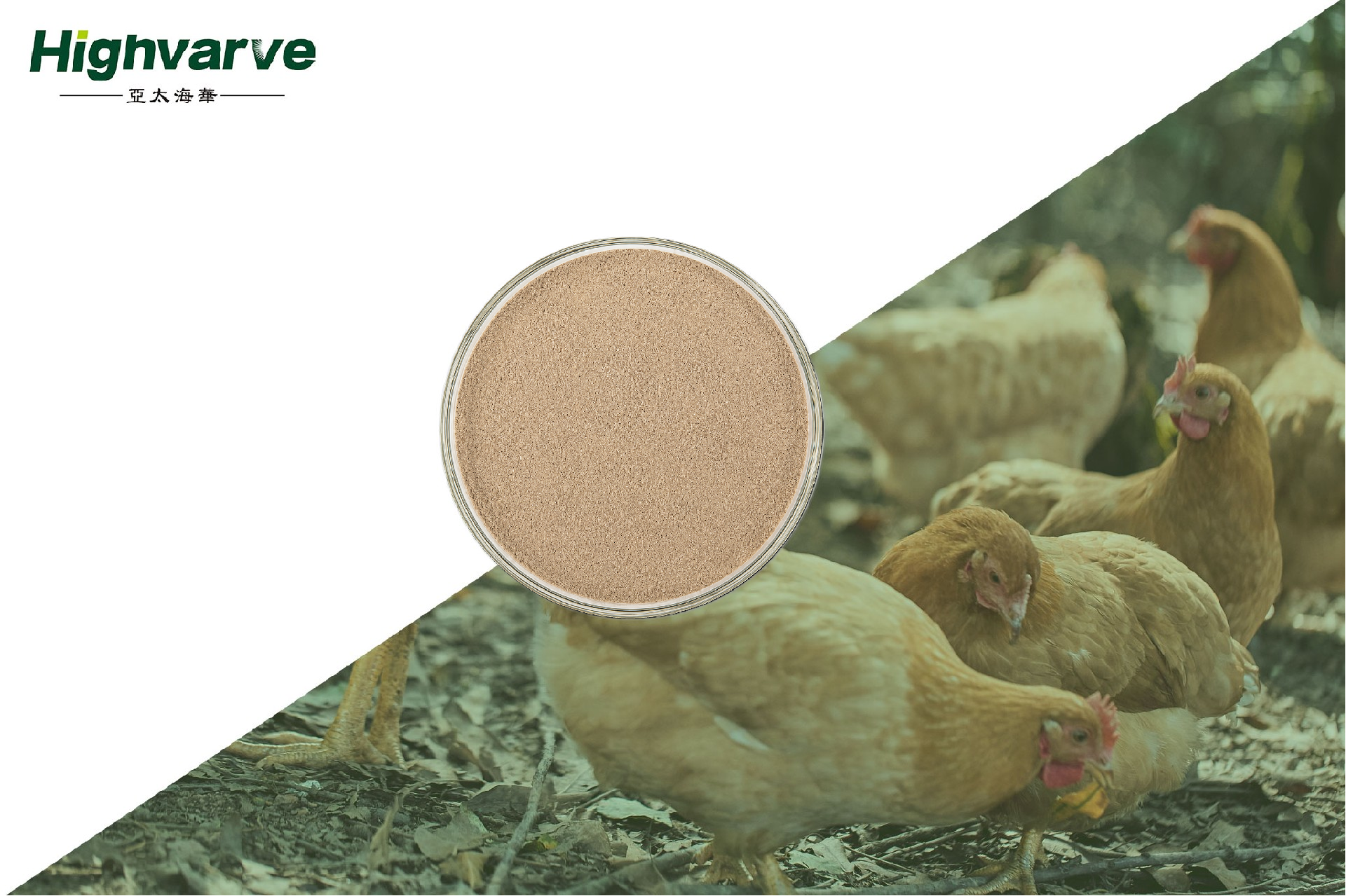 Feed-Grade Montmorillonite