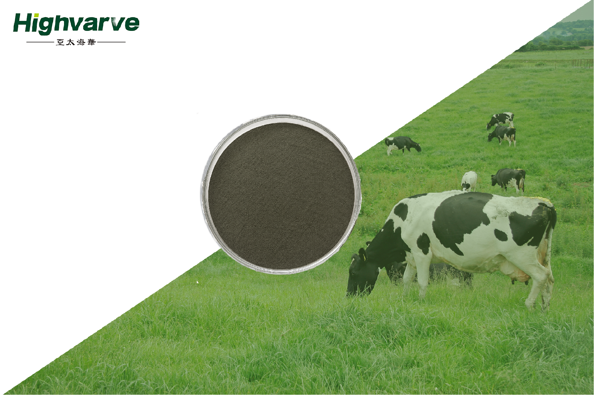 Ferrous Humate Complex