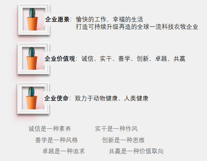 亚太海华企业文化(图3)