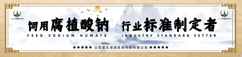 亚太海华|2023年战略运营大会暨2022年度总结大会(三)(图1) 亚太海华|2023年战略运营大会暨2022年度总结大会(三)(图1)