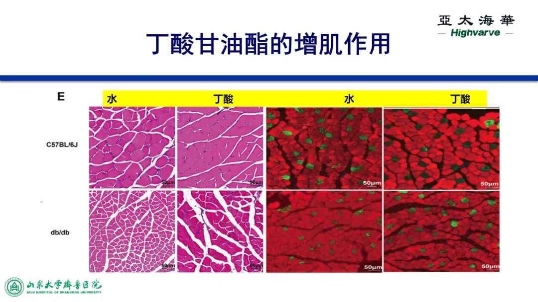 亚太海华与山东大学齐鲁医院合作项目成果验证汇报(图6)