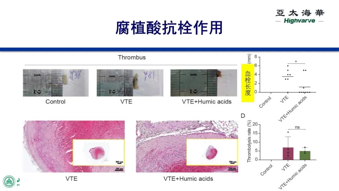 亚太海华与山东大学齐鲁医院合作项目成果验证汇报(图5)