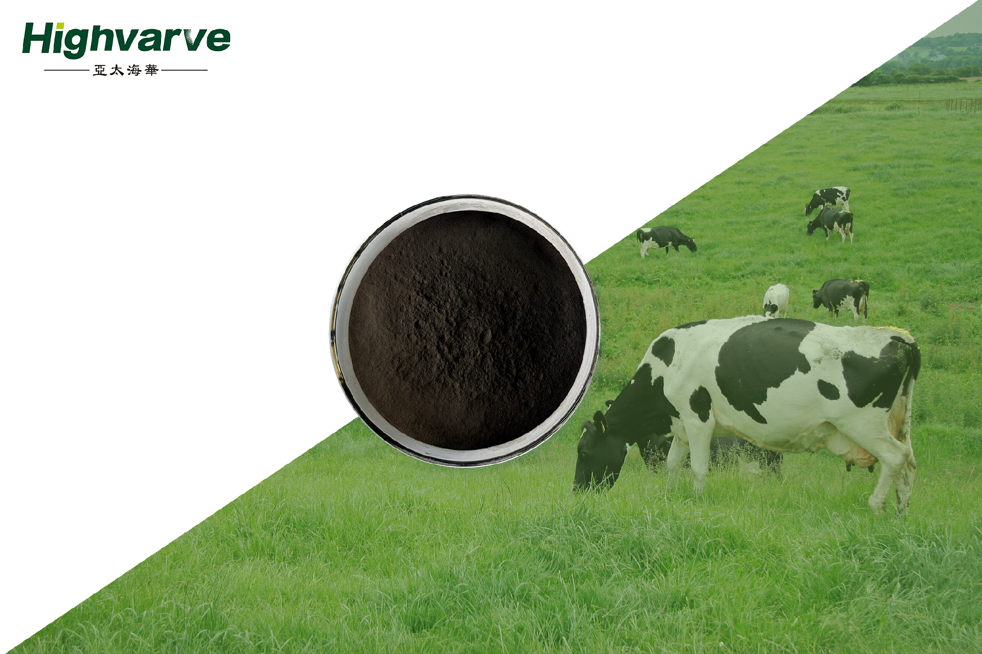 Hong Li Lu (Composite Humic Acid Trace Element Supplement)