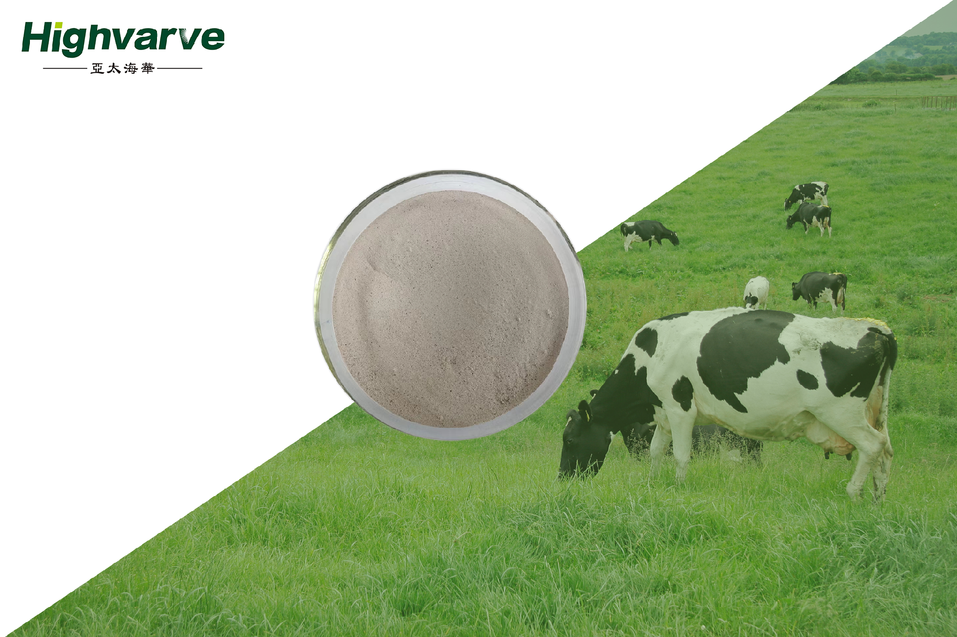 Ke Xian Su (Eggshell Quality Enhancer)