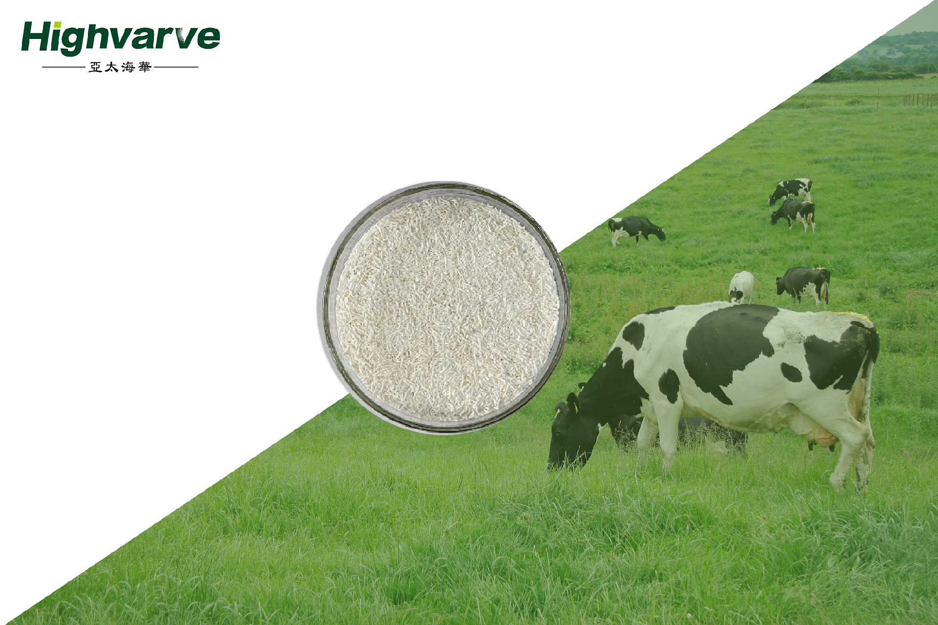 Changyousuan (Sodium Butyrate Intestinal Health Regulator)