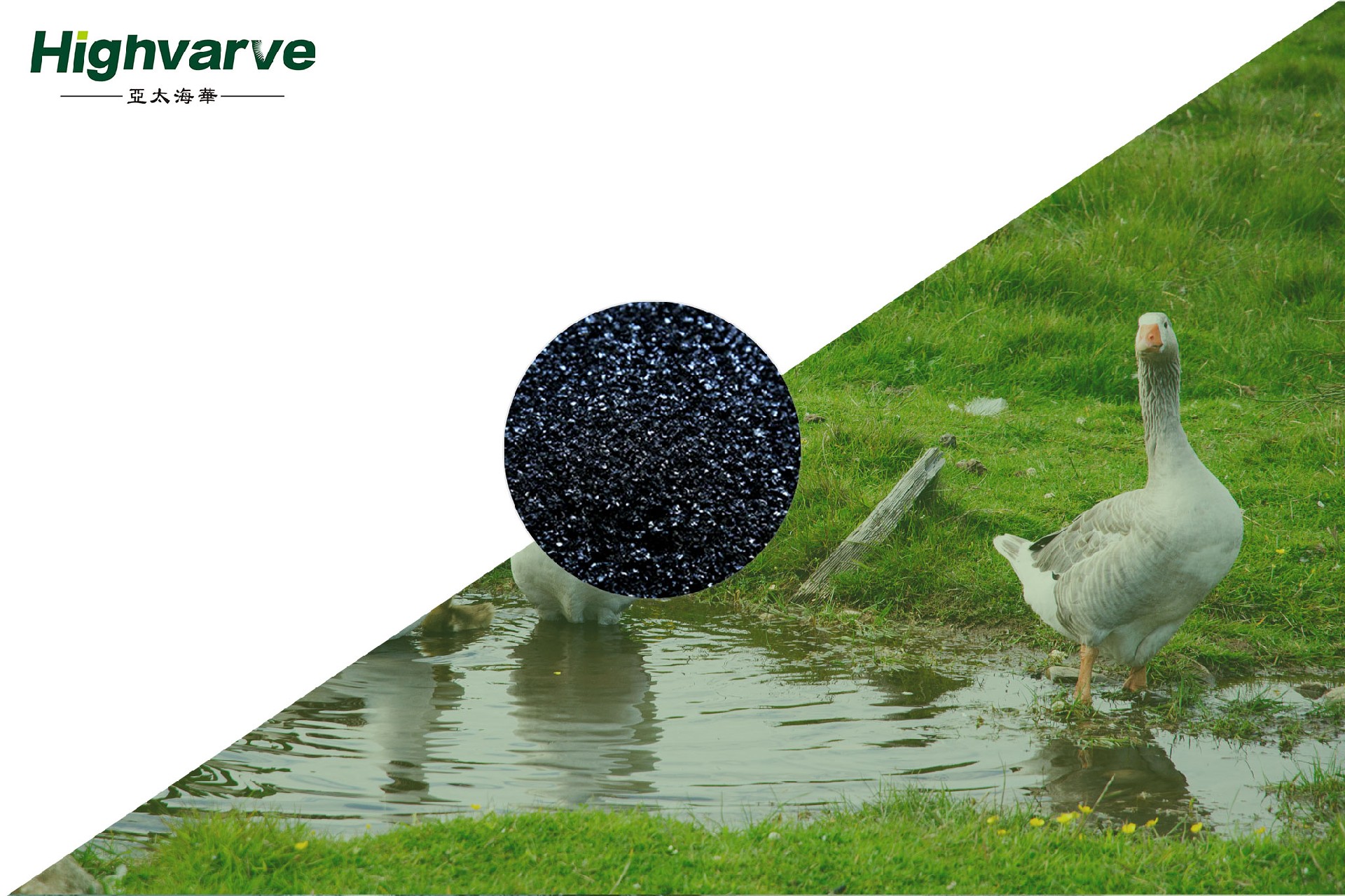 Chang Yi Sheng – Sodium Humate Feed Additive