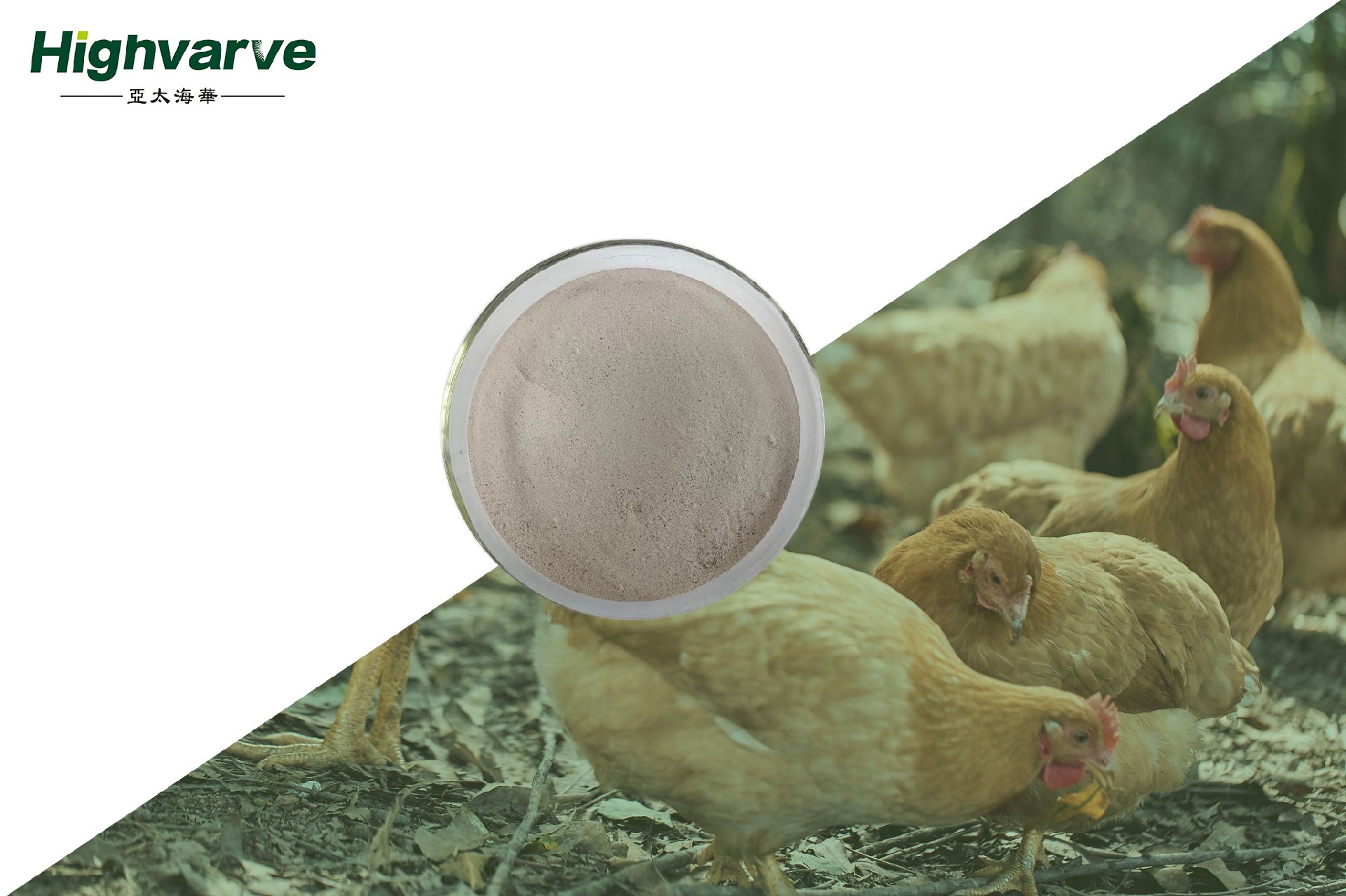 Ke Xian Su (Eggshell Quality Enhancer)