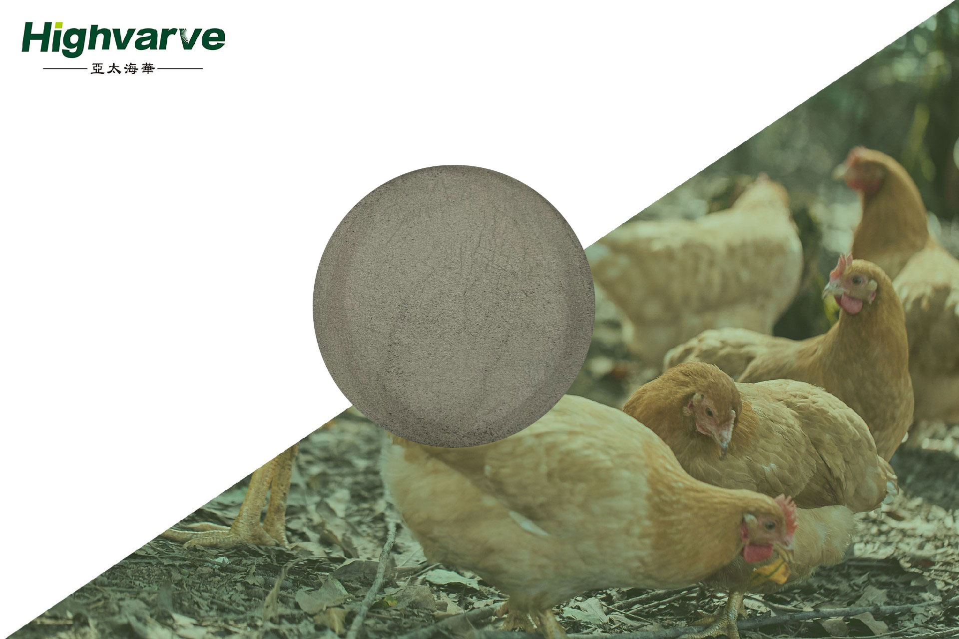 Feed Pelleting Binder HeiliJian